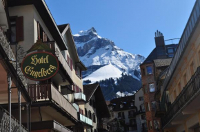 Гостиница Hotel Engelberg 